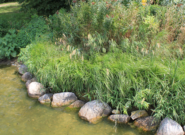 Contact GroWall Contact GroWall