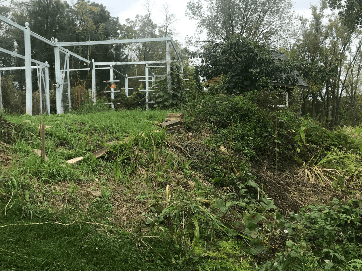 GroWall Raised Garden Bed Before