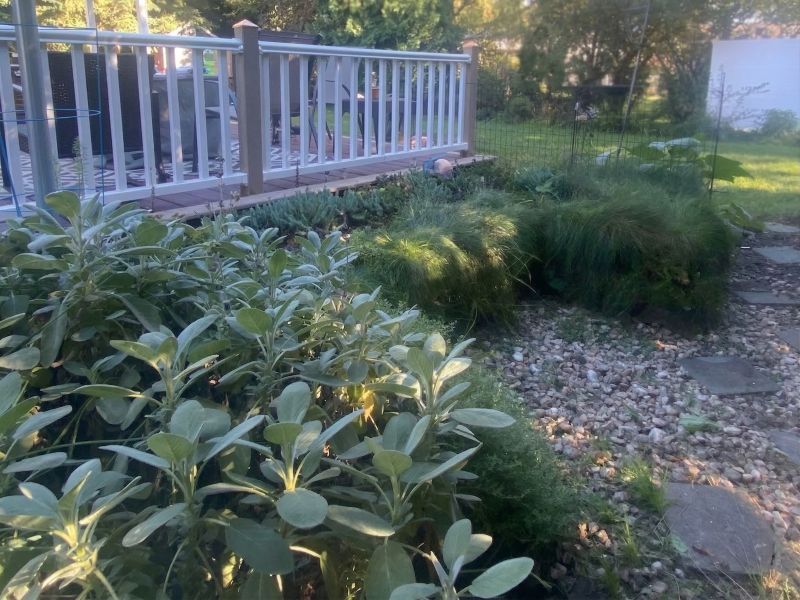 GroWall Shoreline Solution