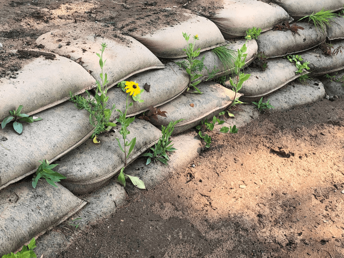 GroWall Retaining Wall with New Plants