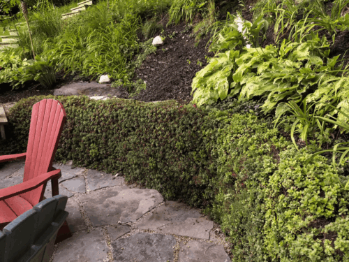 GroWall Retaining Wall with Sedum